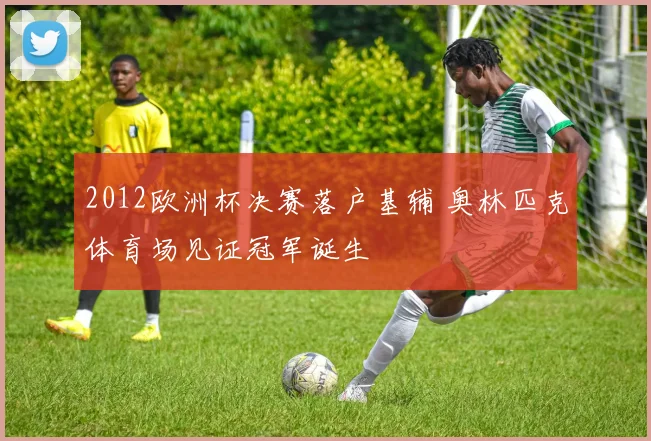 2012欧洲杯决赛落户基辅 奥林匹克体育场见证冠军诞生