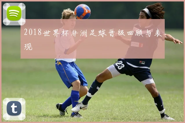 2018世界杯非洲足球晋级回顾与表现