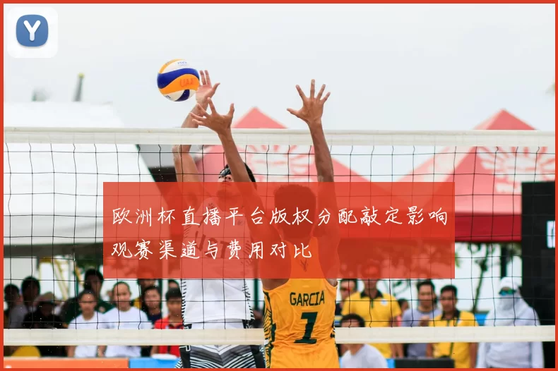 欧洲杯直播平台版权分配敲定影响观赛渠道与费用对比